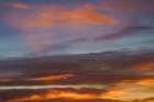 Colors at sunrise, Bosque del Apache National Wildlife Refuge, New Mexico Art Print